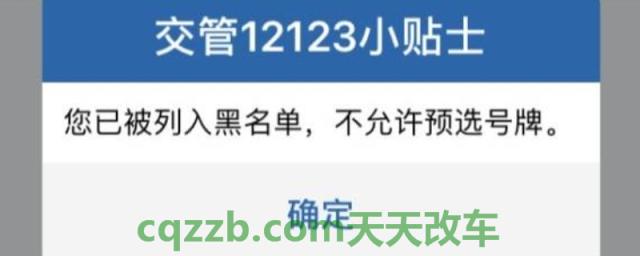揭露：12123选号后几天上牌(交管12123选择号牌不使用影响大吗)  第1张