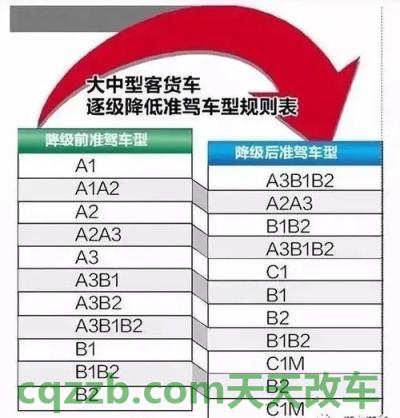 关于：甲壳虫墨橘版性能如何及其简介 驾驶证升级c1升b2需要考试吗  第3张