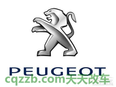 解答：标致_什么是标致  第2张