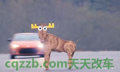 汽车疑问：麋鹿测试_什么是麋鹿测试  第2张