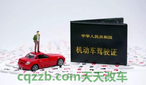 拍驾驶证照片有什么要求吗(机动车驾驶证相片可以自行准备吗)  第3张
