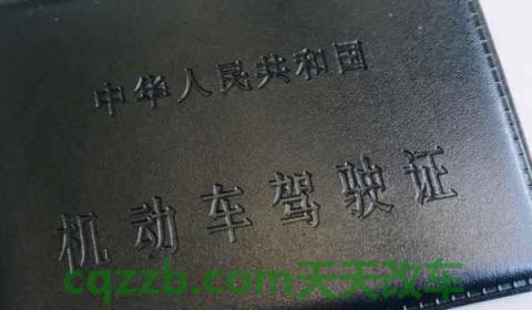 怎么查自己考驾照的成绩(机动车驾驶证在哪里报名)  第3张