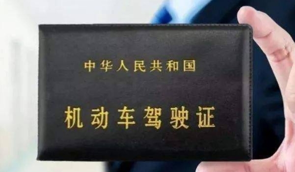 讲讲：驾驶证降级直接恢复(机动车驾驶证丢失在哪里补办)  第2张