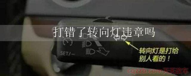 打错了转向灯违章吗(偏离道路需要打转向灯吗) 第1张