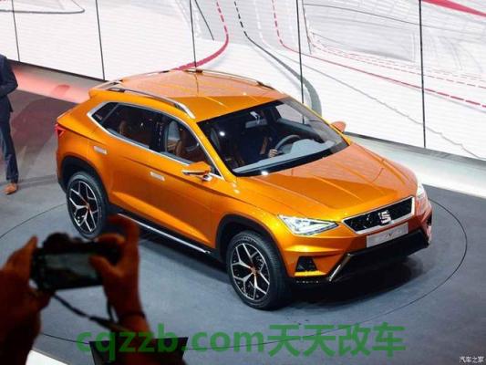 问题：西雅特厂商_什么是西雅特厂商  第4张