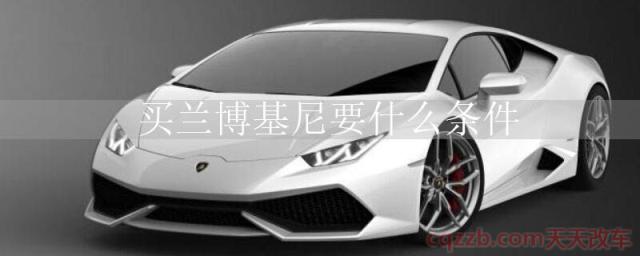 买兰博基尼要什么条件()