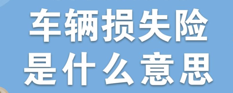 车辆损失险是什么意思(商业保险可以不买吗)