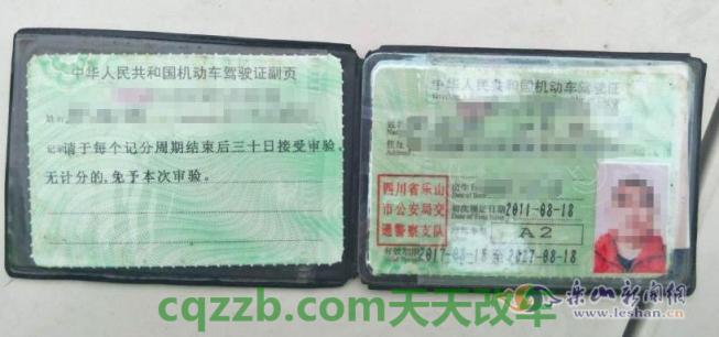 解答汽车：b2驾驶证补办流程_交通业务办理  第3张