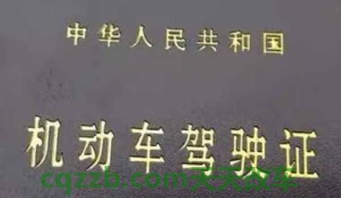 驾驶证照片可以穿白色衣服吗(机动车驾驶证拍摄要求) 第2张