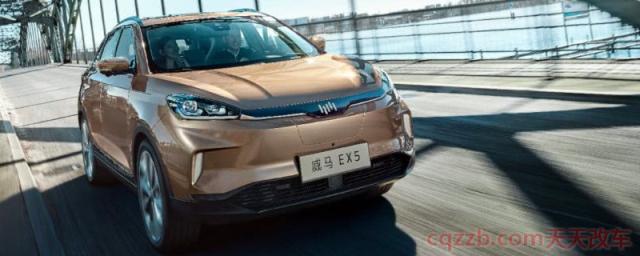 威马ex5是哪个公司的(威马ex5电动机的数据) 第1张