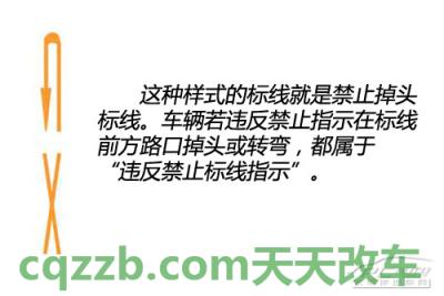 关于汽车：压交通标线如何处罚_什么是压交通标线如何处罚  第19张
