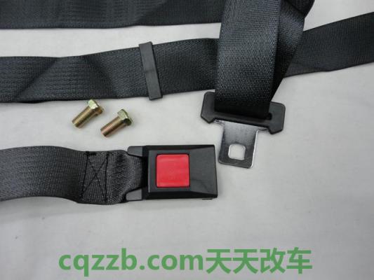 疑问：安全带补偿特约险_什么是安全带补偿特约险