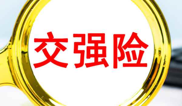 自己可以查询车辆交强险么(交强险是什么意思)  第3张