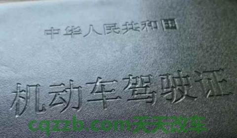 驾驶证可以办手机卡吗(机动车驾驶证丢失怎么补办)  第3张