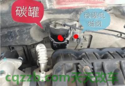 解答：碳罐_什么是碳罐  第3张