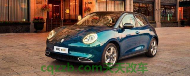 说说:欧拉黑猫是什么牌子的车(欧拉黑猫的底盘转向系统是什么) 第1张