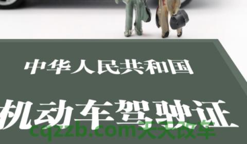 2021年新交规可以带牌照架嘛(车辆出现交通违章违法行为如何处理)  第2张