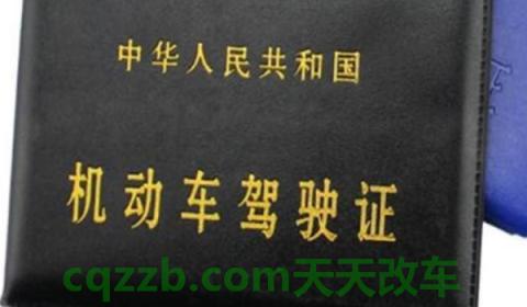 驾驶证要几寸的照片(机动车驾驶证如何获得)  第3张
