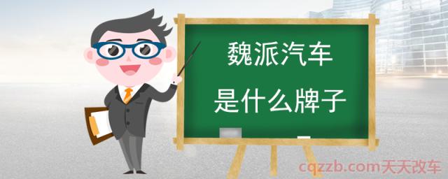 魏派汽车是什么牌子(魏派汽车简介)  第1张