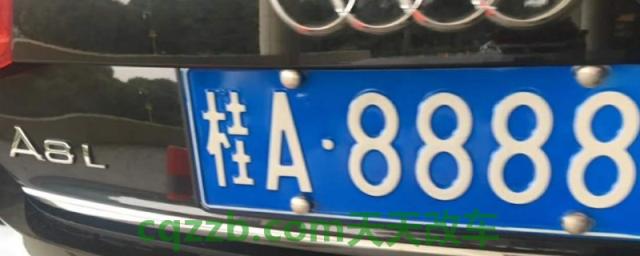 有车牌号可以查到车主名字跟电话吗(车辆牌照号使用注意事项)
