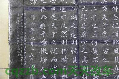 关于：范仲_什么是范仲  第2张