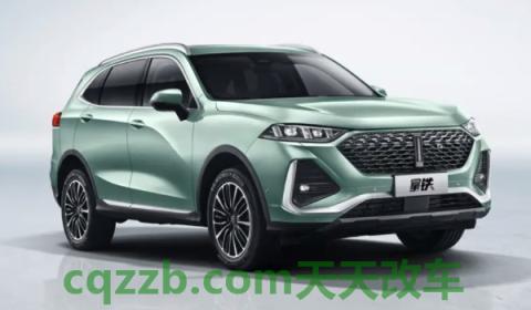 谈谈：魏牌拿铁有四驱吗(拿铁的底盘转向系统是什么)  第2张