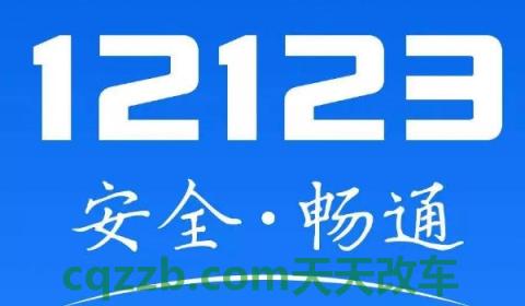 12123选号品牌型号怎么填(交管12123注册收费吗)  第2张