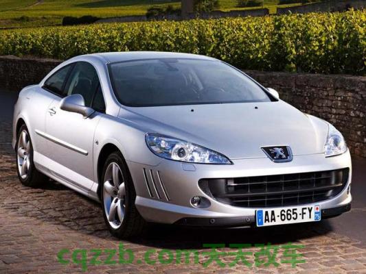 汽车疑问:标致(进口)厂商_什么是标致(进口)厂商 第4张