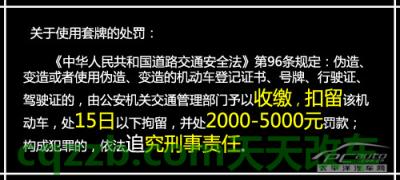 车友：被套牌解救措施_什么是被套牌解救措施  第17张