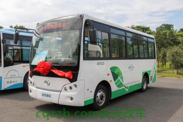 了解汽车：金龙联合_什么是金龙联合  第3张