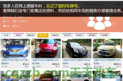 车友：被套牌解救措施_什么是被套牌解救措施  第10张