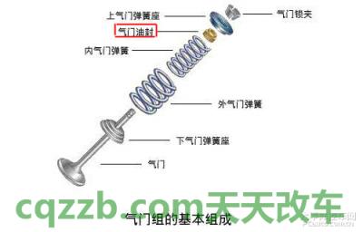 汽车知识：气门油封_什么是气门油封