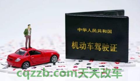 驾照丢了别人捡到能用吗(驾驶证丢失期间可以驾驶机动车吗)  第3张