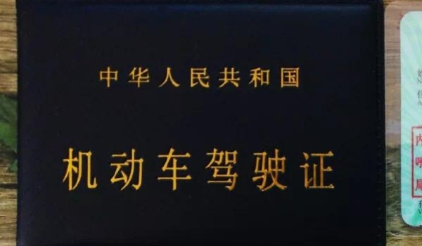 有电子版驾照还有必要带驾照吗(电子版驾驶证如何领取)  第3张