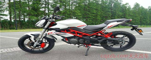 贝纳利故障灯消除教程(贝纳利车子正常故障灯却亮着)  第1张