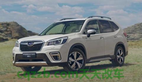 揭露：斯巴鲁属于哪个品牌旗下的(斯巴鲁森林人的车身尺寸数据是什么)  第2张