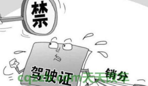 什么情况扣12分(扣除12分怎么办) 第2张