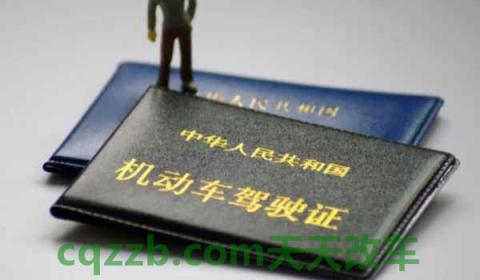 驾驶证过期未换证开车怎么处罚(机动车驾驶证换证需要携带什么)  第2张