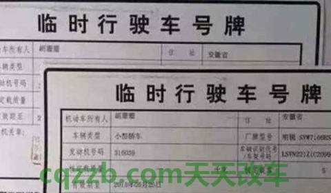新车不交购置税能办临时牌照(临时牌照在哪里办理)  第2张