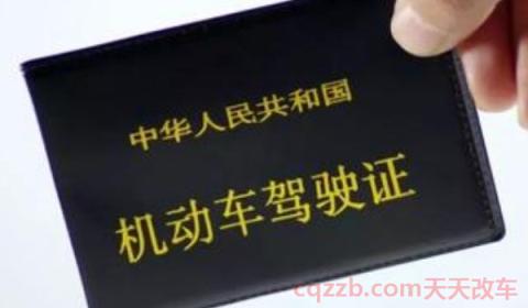 鲁g是山东哪里的车牌号(山东省车辆在异地会被拍违章吗) 第3张