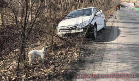 行驶中方向跑偏是什么原因(汽车跑偏的危害) 第2张