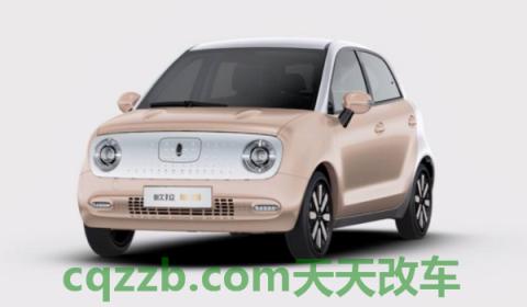 说说:欧拉黑猫是什么牌子的车(欧拉黑猫的底盘转向系统是什么) 第2张