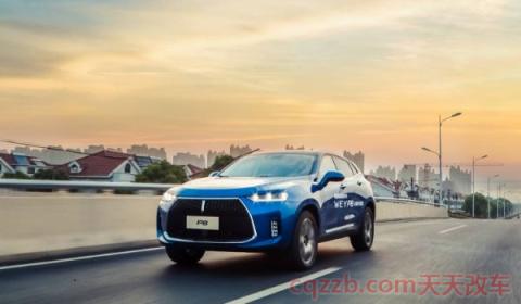 vey汽车是什么品牌(WEY品牌的标志设计是来源于哪里)  第3张