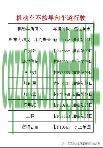 车友：机动车挂牌可以自编吗_交通问题  第4张