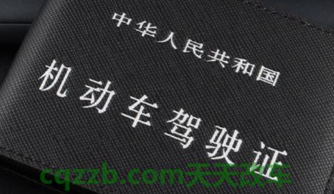 驾照c1d是什么意思(机动车驾驶证丢失在哪里补办)  第3张