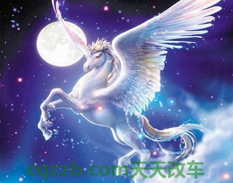 关于：天马_什么是天马