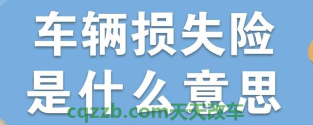 讲授一下：什么是机动车损失险(车辆保险在哪里购买)  第1张