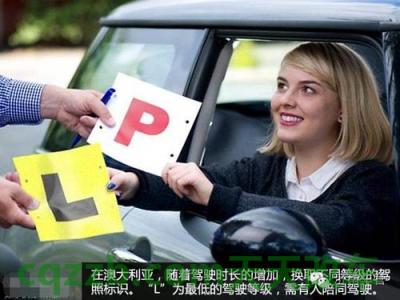 汽车知识：澳洲驾照换中国驾照_交通业务办理  第1张