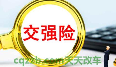 新车第一年保险有涉水险吗(机动车辆必须要购买的保险) 第2张