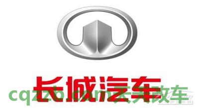 疑问：长城汽车厂商_什么是长城汽车厂商  第2张